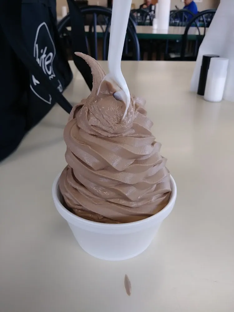 Chocolate Ice Cream